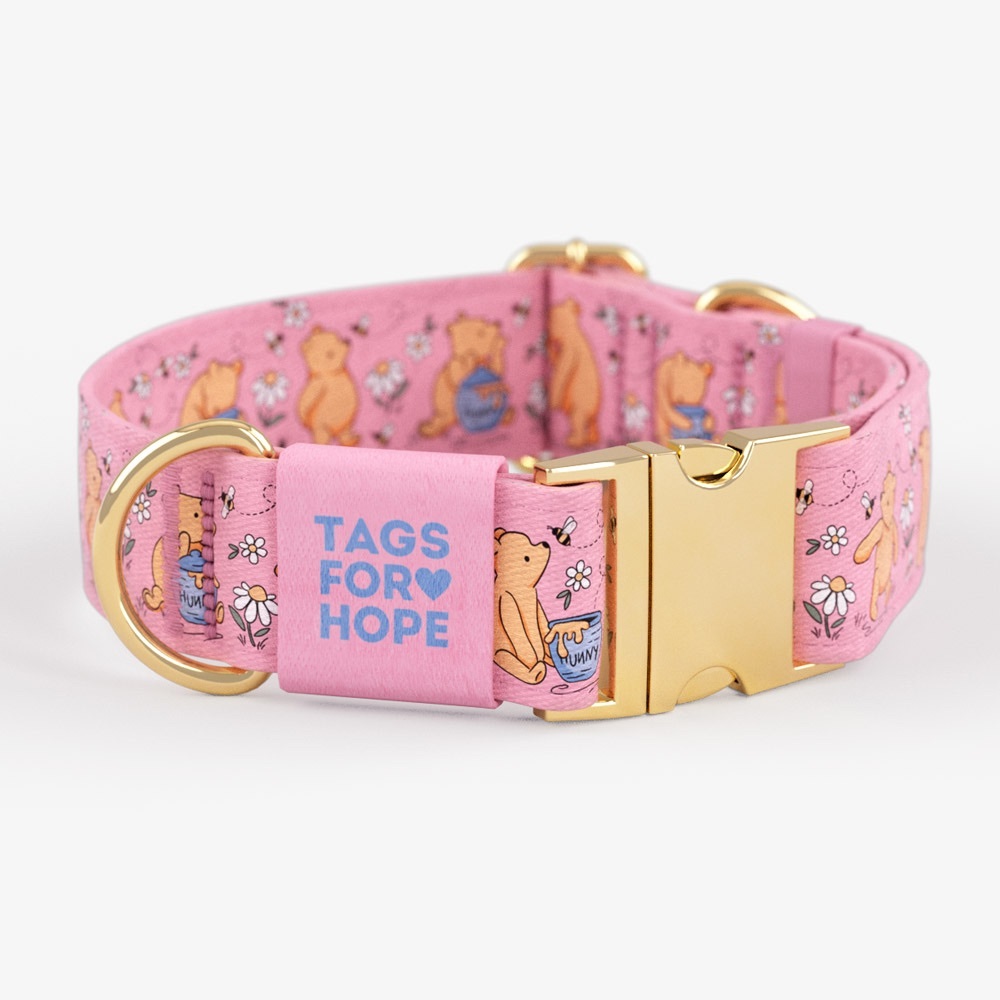 Winnie the Pooh dog collar